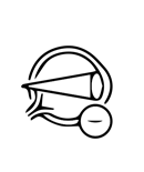 Custom icon